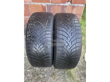 Toyo 215/55 R17 Zimska