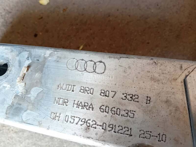 sina zadnjeg branika