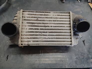 Interkuler za Fiat Stilo za 2001. god.