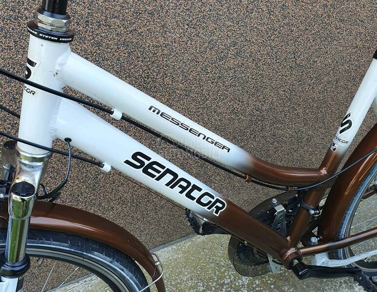 SENATOR MESSENGER
