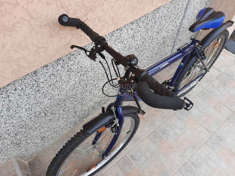 Capriolo mtb 26