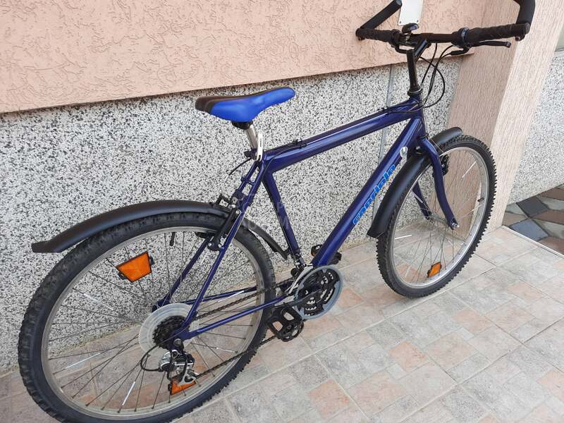 Capriolo mtb 26