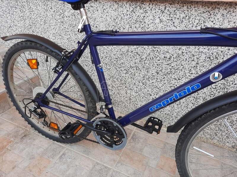 Capriolo mtb 26
