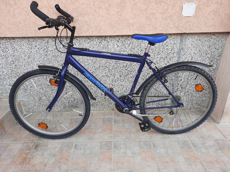 Capriolo mtb 26