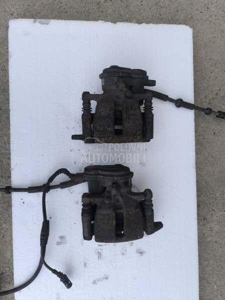 zadnja klesta, kljesta