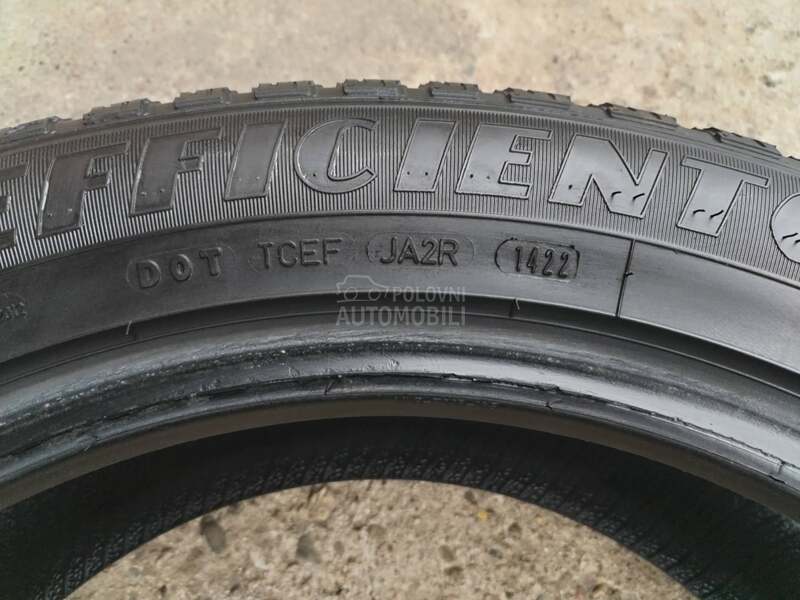 Goodyear 225/55 R19 Sve sezone