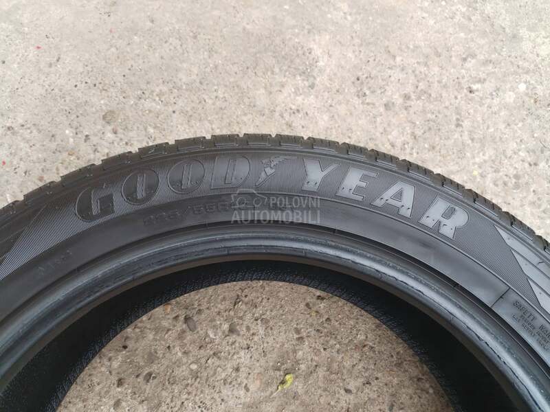 Goodyear 225/55 R19 Sve sezone