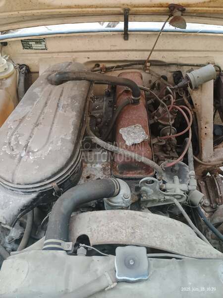 Volga 24