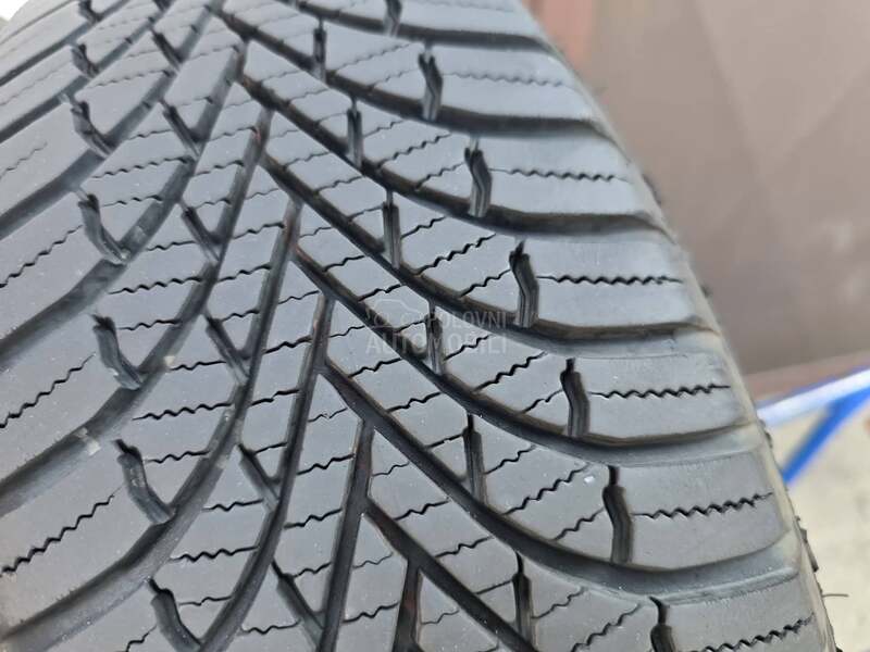 Firestone 175/65 R15 Sve sezone