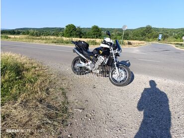 Honda hornet