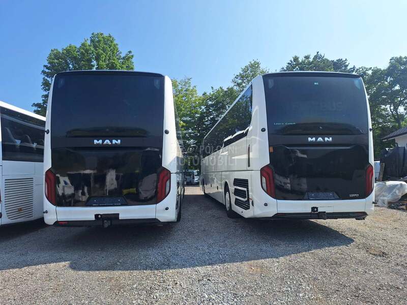 MAN Lions Coach R010