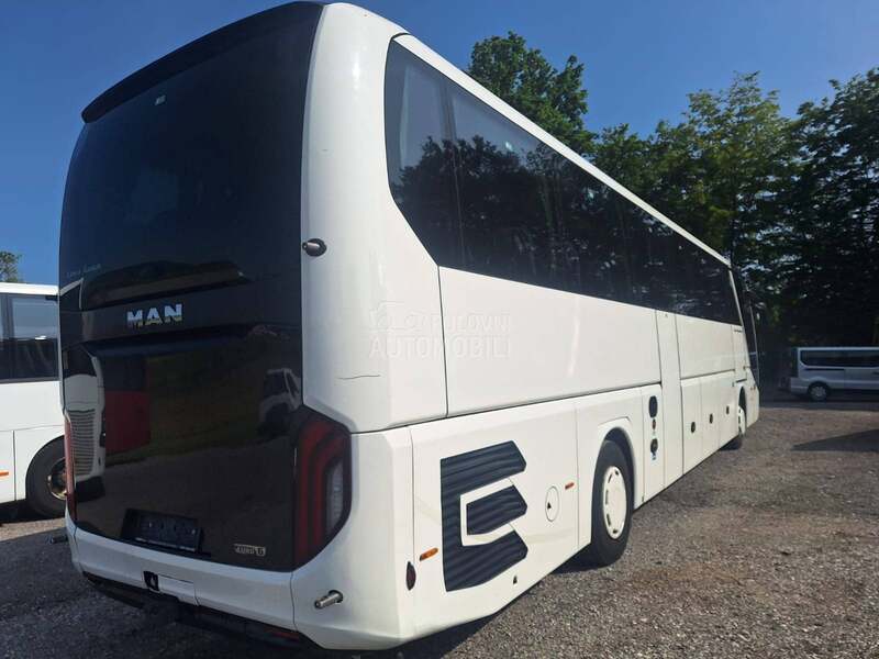 MAN Lions Coach R010