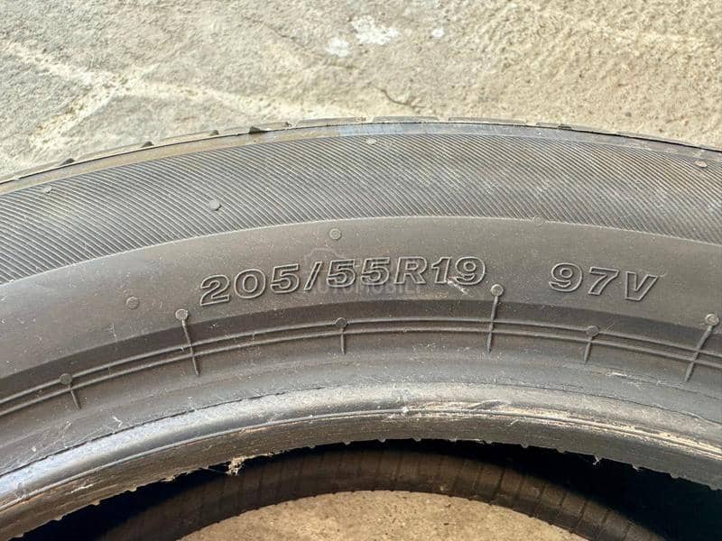 Bridgestone 205/55 R19 Letnja