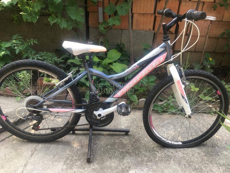 Capriolo Diavolo 240 Sivo Roze