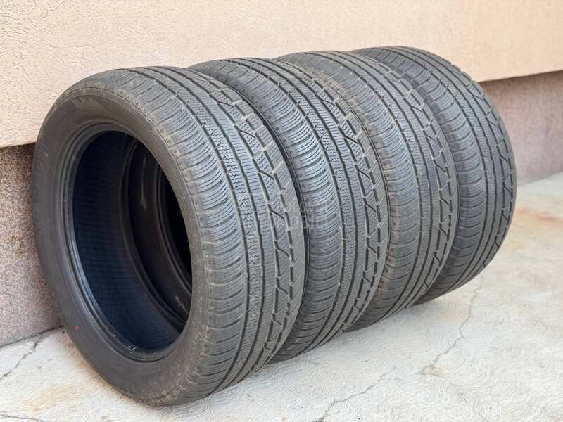 Gripmax 255/50 R19 Zimska