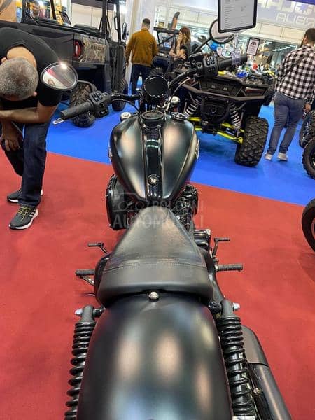 Indian Chief Dark Horse