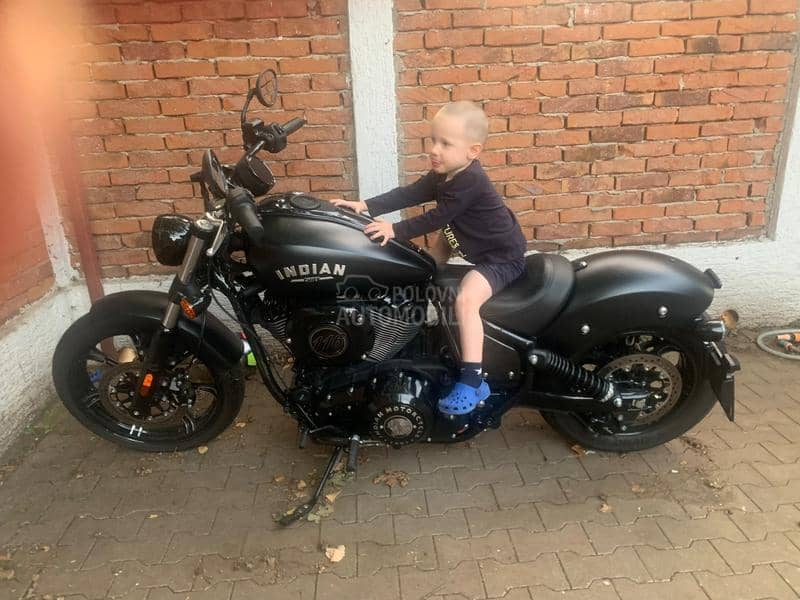 Indian Chief Dark Horse