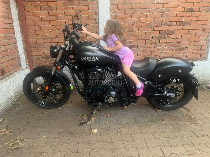 Indian Chief Dark Horse