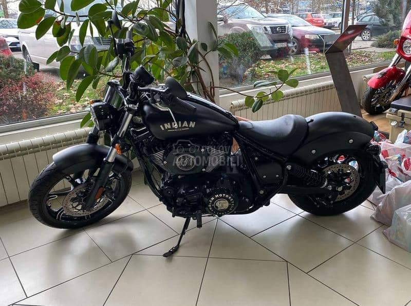 Indian Chief Dark Horse