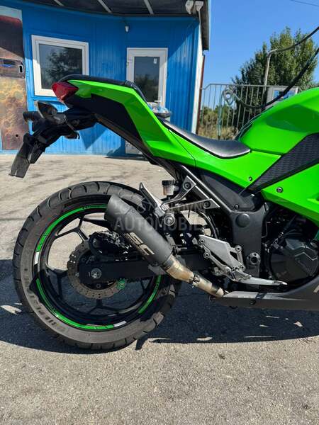 Kawasaki Ninja 300