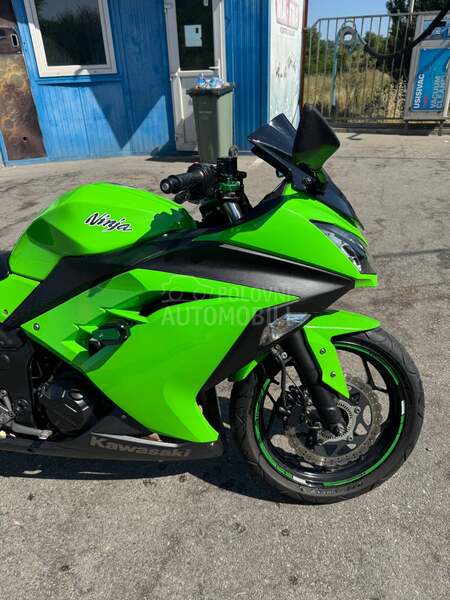 Kawasaki Ninja 300