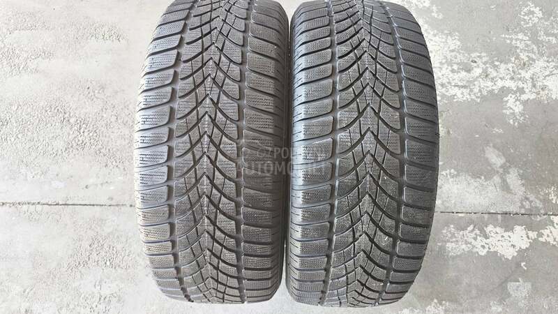 Dunlop 225/50 R17 Zimska