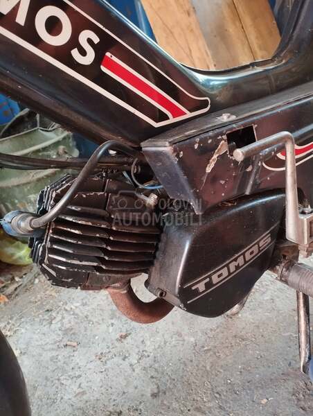 Tomos Tomos automatik A3 MS