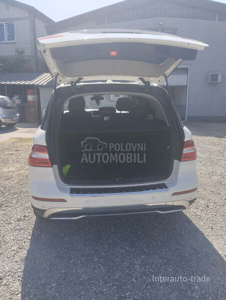 Mercedes Benz ML 250 BLUE TEC 4M