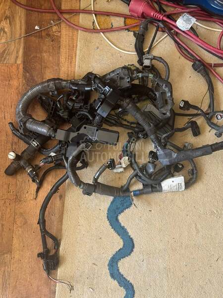 Motor
