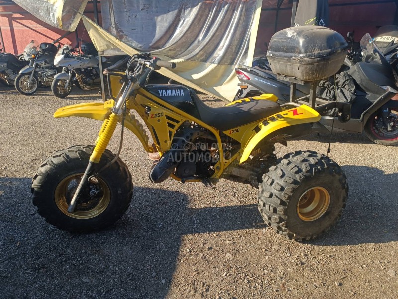 Yamaha tri z 250