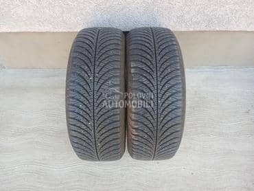 Goodyear 195/55 R16 Sve sezone