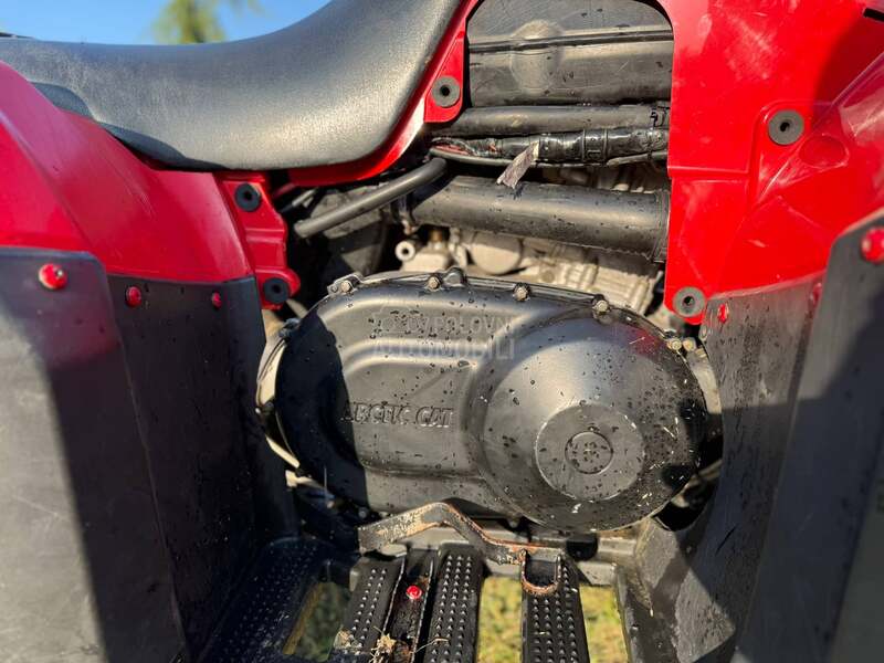 Arctic Cat alterra 450