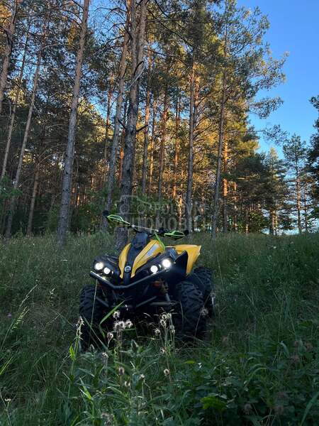 Can-Am Renegade 800