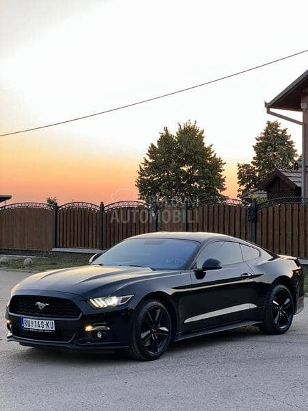 Ford Mustang 