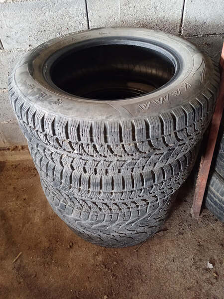 Riken 195/65 R15 Zimska