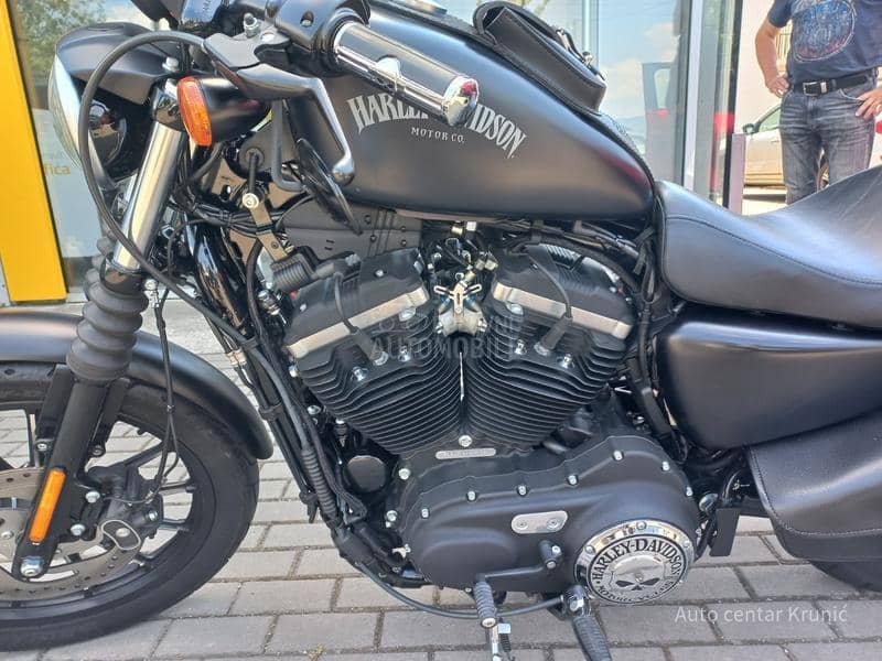 Harley Davidson IRON 833N