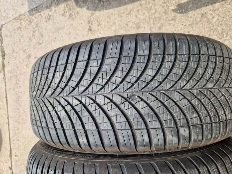 Goodyear 245/50 R19 Sve sezone