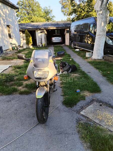 Kawasaki Ninja