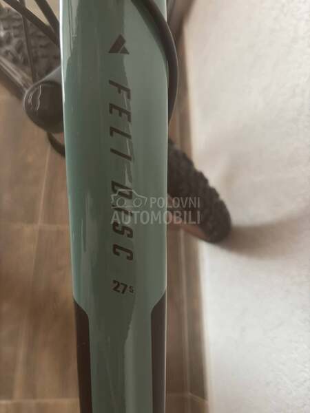 Bulls Sharptail  N.O.V.A.