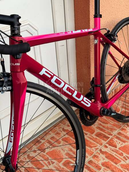 Focus CAYO 28