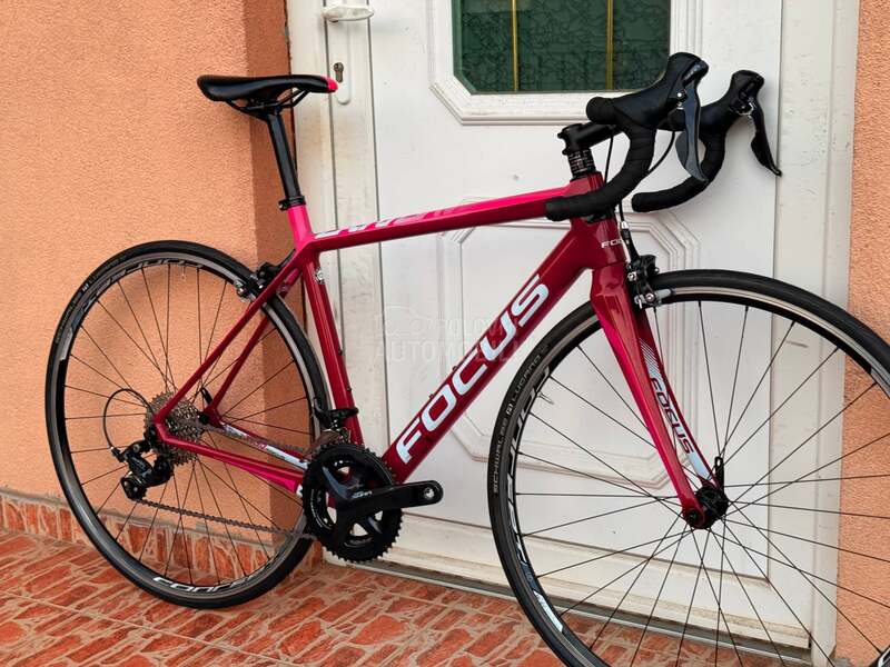 Focus CAYO 28