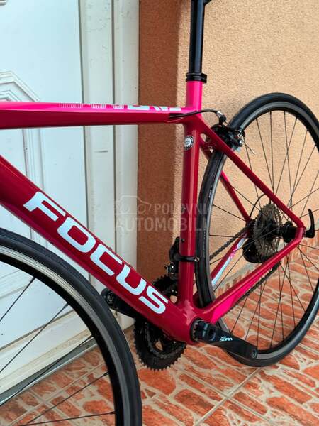 Focus CAYO 28