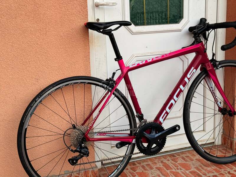 Focus CAYO 28