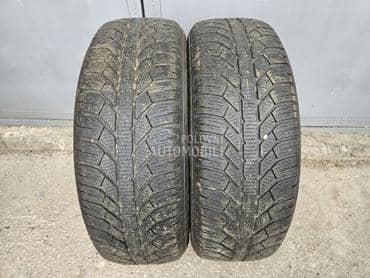 Semperit 195/65 R15 Zimska