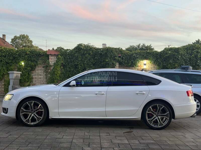 Audi A5 BiColor T O P