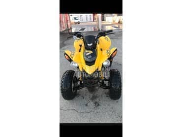 Can-Am DS 250