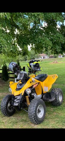 Can-Am DS 250