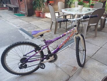 Xplorer Explorer 20