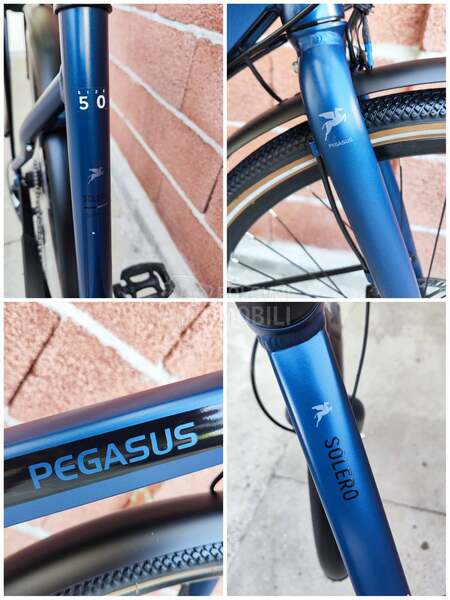 Pegasus Solero