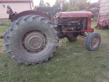 IMT 558